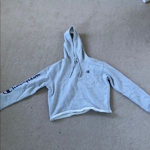 small champion cropped hoodie